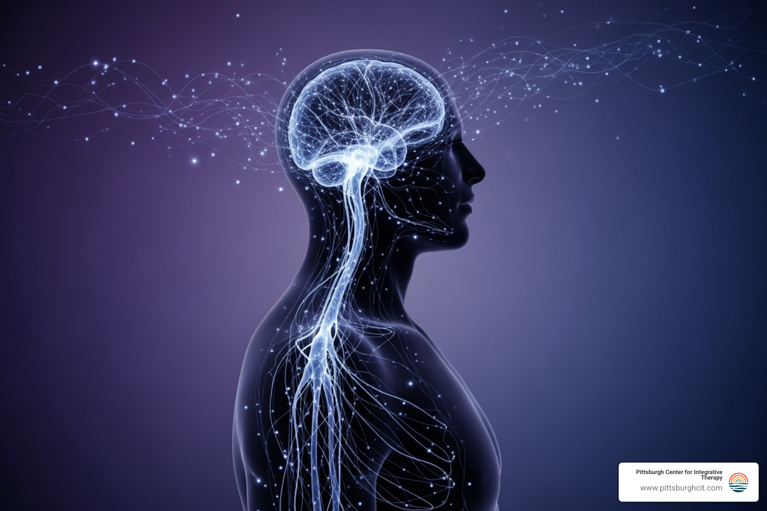 mind-body connection - emdr and somatic therapy training