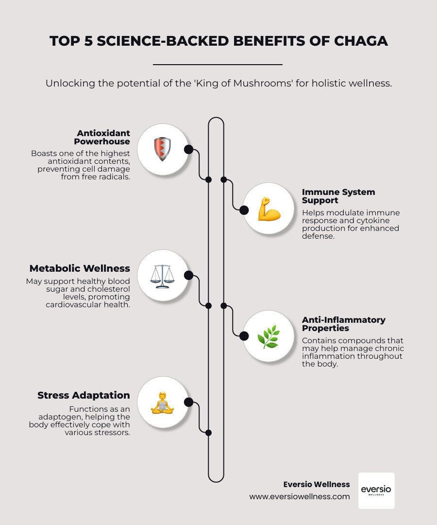 Infographic showing the top 5 science-backed benefits of chaga mushroom extract including immune support, antioxidant protection, metabolic health support, stress adaptation, and anti-inflammatory properties, along with traditional preparation methods and modern supplement forms - chaga mushroom extract infographic infographic-line-5-steps-neat_beige
