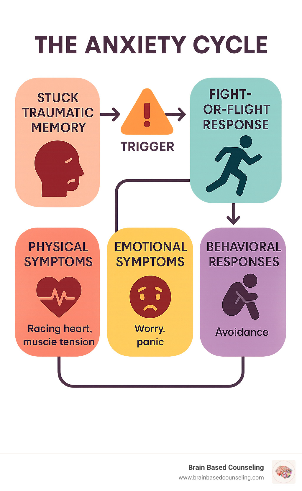 Detailed infographic showing the anxiety cycle: how unprocessed traumatic memories create triggers that activate the fight-or-flight response, leading to physical symptoms like racing heart and muscle tension, emotional symptoms like worry and panic, and behavioral responses like avoidance, which then reinforce the original stuck memory pattern - EMDR therapy for anxiety infographic 