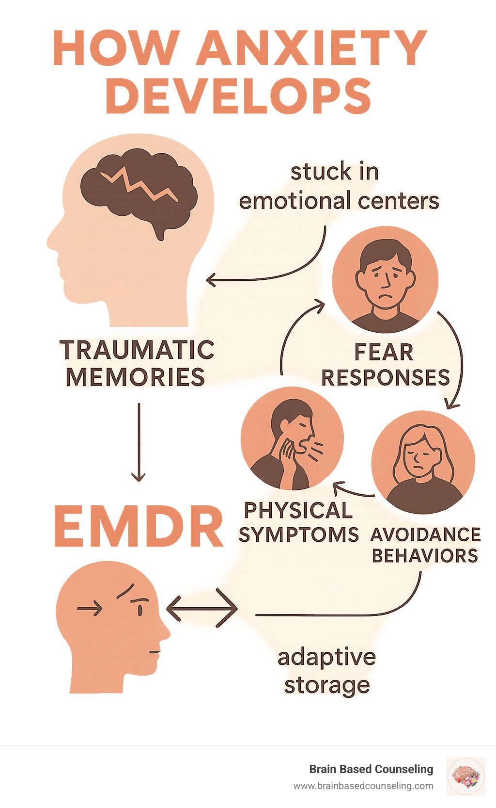Infographic showing how anxiety develops from unprocessed traumatic memories that get "stuck" in the brain's emotional centers, creating a cycle of fear responses, physical symptoms, and avoidance behaviors, with EMDR's bilateral stimulation helping to open up and reprocess these memories into adaptive storage - emdr the breakthrough therapy for overcoming anxiety infographic 