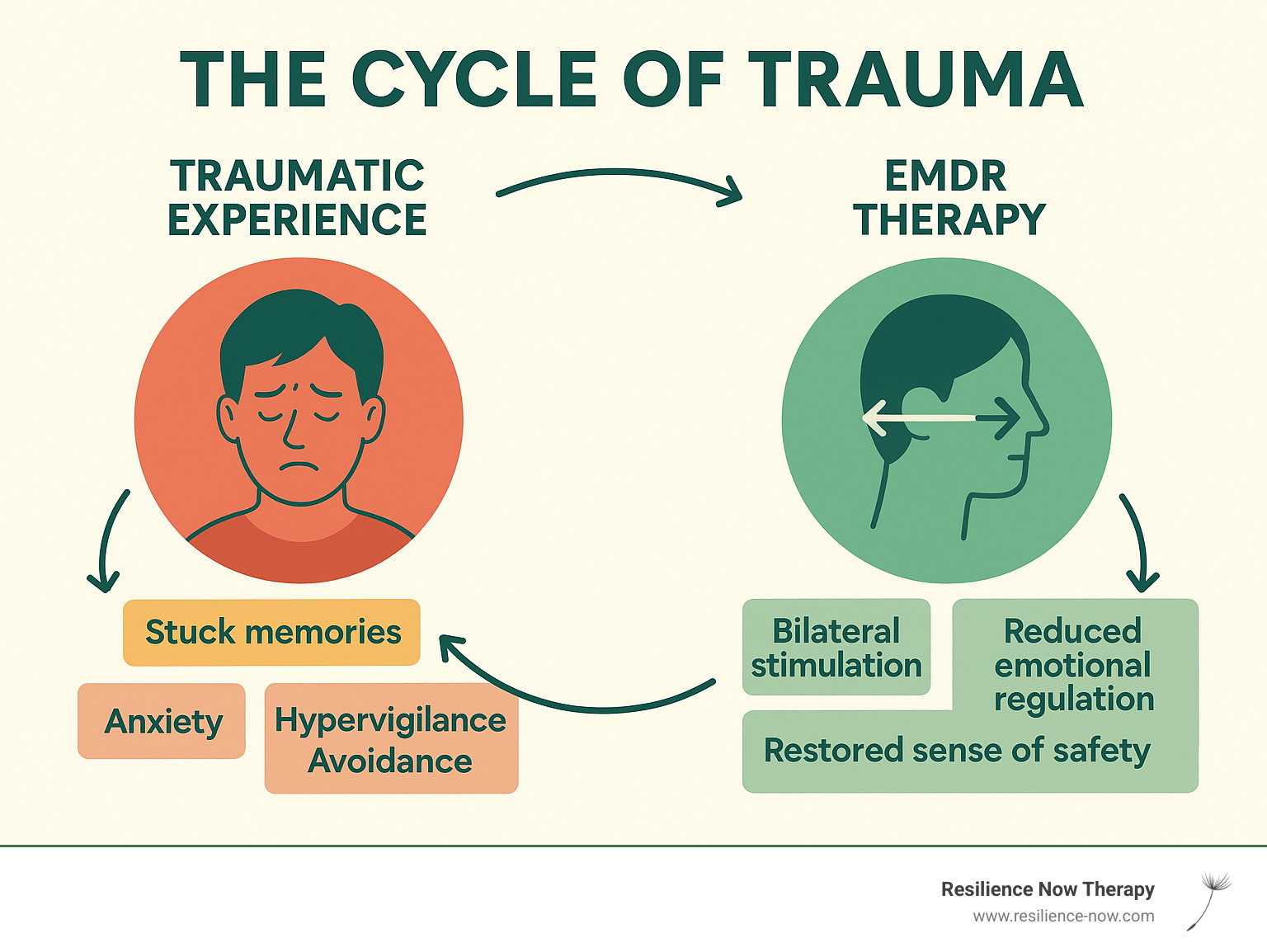 Infographic showing the cycle of trauma - how traumatic experiences create stuck memories that trigger anxiety, hypervigilance, and avoidance behaviors, and how EMDR therapy uses bilateral stimulation to help the brain reprocess these memories, leading to reduced emotional charge, improved emotional regulation, and restored sense of safety - emdr treatment calgary infographic 