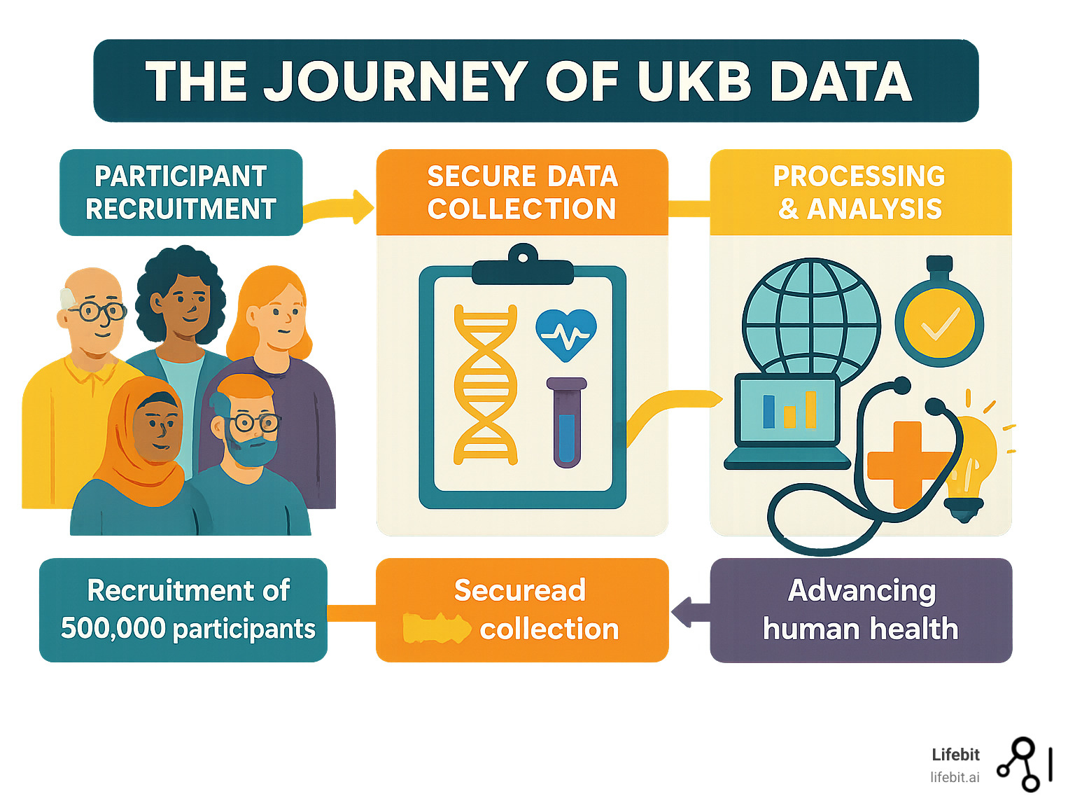 Infographic showing the journey of UK Biobank data from participant recruitment through secure data collection, processing, and analysis by global researchers, culminating in medical findies that improve human health - UKB infographic 