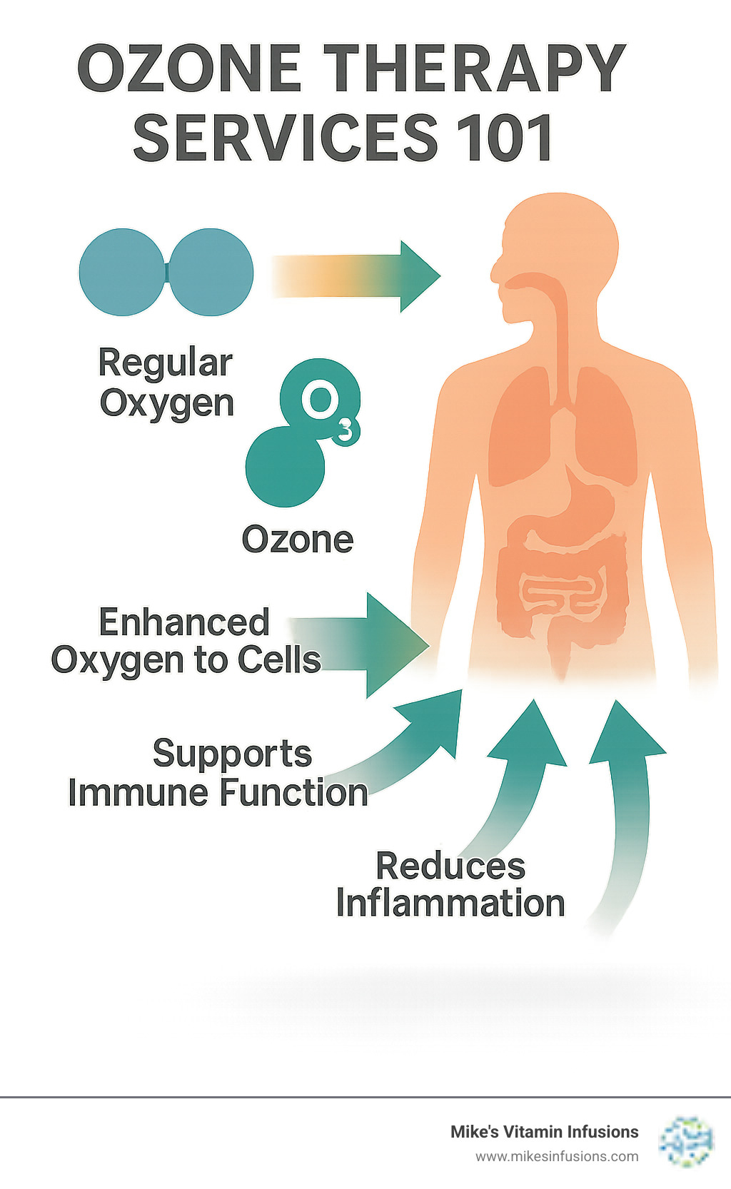 Comprehensive infographic showing the difference between regular oxygen (O2) and ozone (O3) molecules, with arrows indicating how ozone delivers improved oxygen to cells, supports immune function, reduces inflammation, and promotes detoxification in the human body - ozone therapy services infographic 
