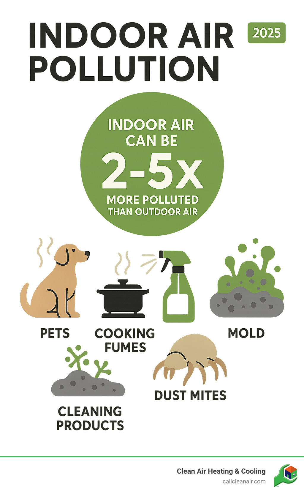 Infographic showing indoor air pollution sources including pets, cooking fumes, cleaning products, mold, and dust mites, with statistics showing indoor air can be 2-5 times more polluted than outdoor air - indoor air quality professional infographic 