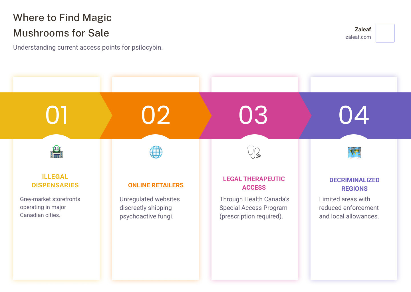 Comprehensive infographic showing magic mushroom effects including altered perception and time distortion, health risks like anxiety and bad trips, current legal status as federally controlled substances, and available access methods from illegal dispensaries to legal therapeutic programs - magic mushrooms for sale infographic pillar-4-steps
