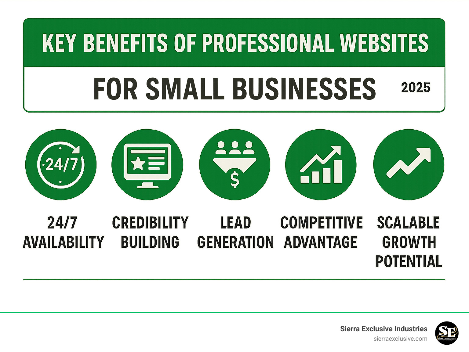 Key benefits of professional websites for small businesses including 24/7 availability, credibility building, lead generation, competitive advantage, and scalable growth potential - affordable web design infographic 