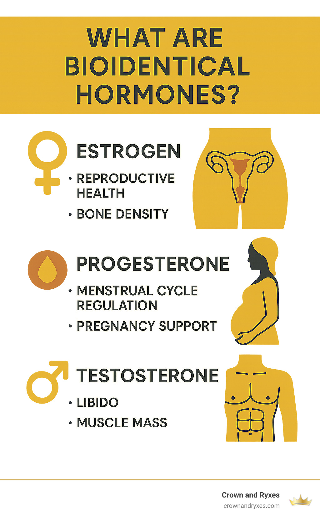 Infographic showing the role of key hormones including estrogen for reproductive health and bone density, progesterone for menstrual cycle regulation and pregnancy support, and testosterone for libido and muscle mass in both men and women - What are bioidentical hormones? infographic Infographic showing the role of key hormones including estrogen for reproductive health and bone density, progesterone for menstrual cycle regulation and pregnancy support, and testosterone for libido and muscle mass in both men and women - What are bioidentical hormones? infographic