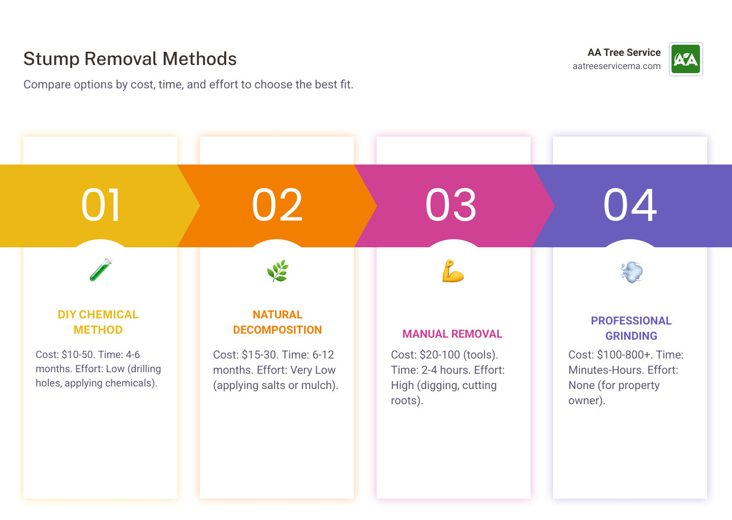 Infographic showing stump removal method comparison with cost, time, and effort ratings for chemical removal, natural decomposition, manual removal, and professional grinding - Stump Removal infographic pillar-4-steps