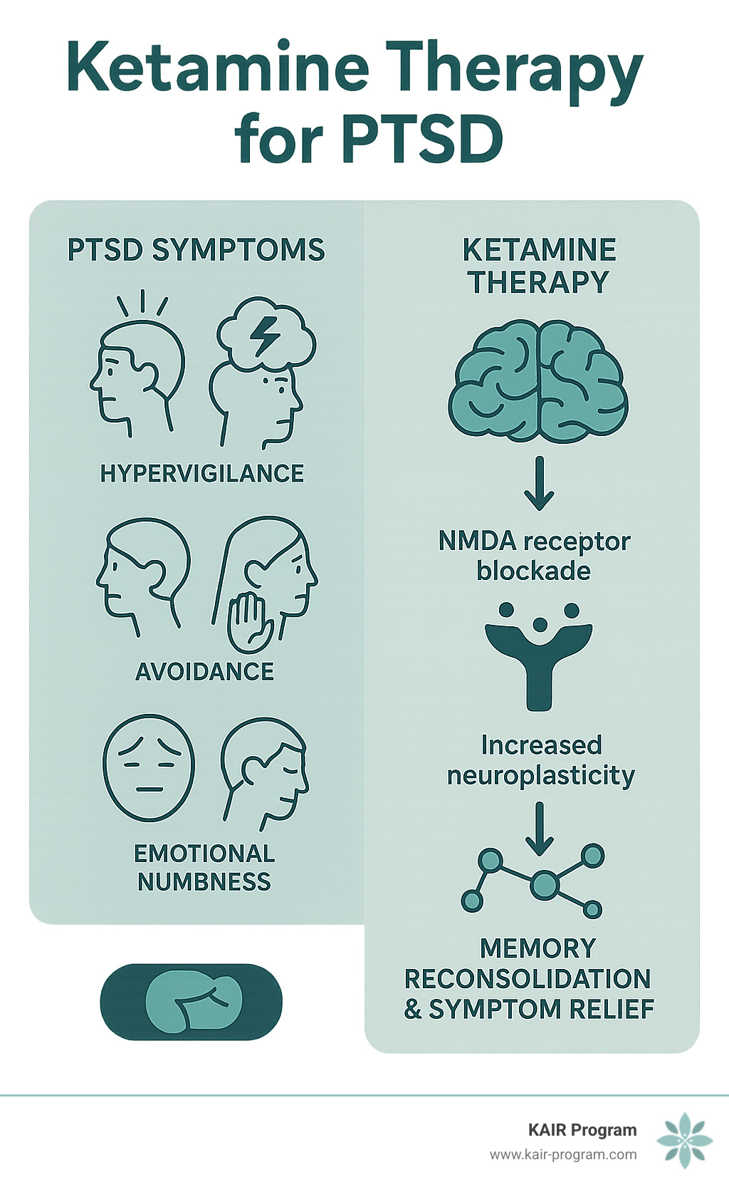 Comprehensive infographic showing PTSD symptoms including hypervigilance, flashbacks, avoidance, and emotional numbness, alongside ketamine therapy's mechanism of action through NMDA receptor blockade and increased neuroplasticity leading to memory reconsolidation and symptom relief - ketamine therapy for trauma infographic 