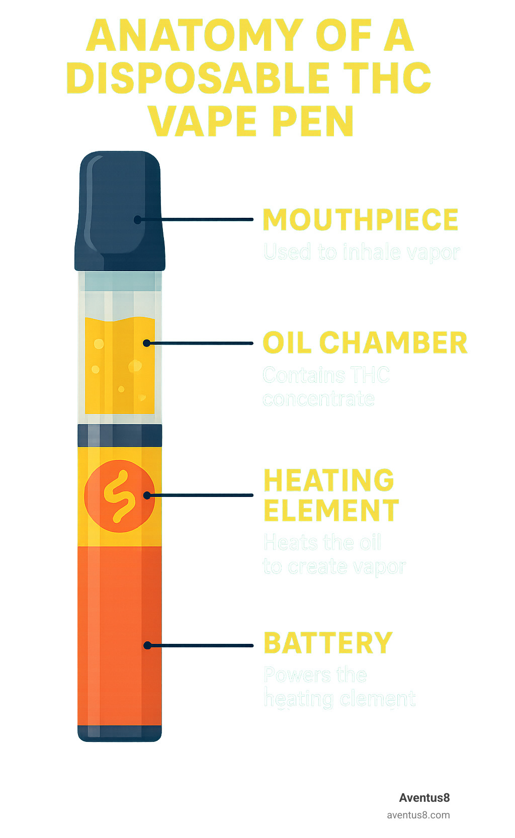 Infographic showing the basic components of a disposable THC vape pen including battery at the bottom, heating element in the middle, oil chamber containing THC concentrate, and mouthpiece at the top, with labels indicating how each component works together to vaporize cannabis oil - buy THC vapes infographic 