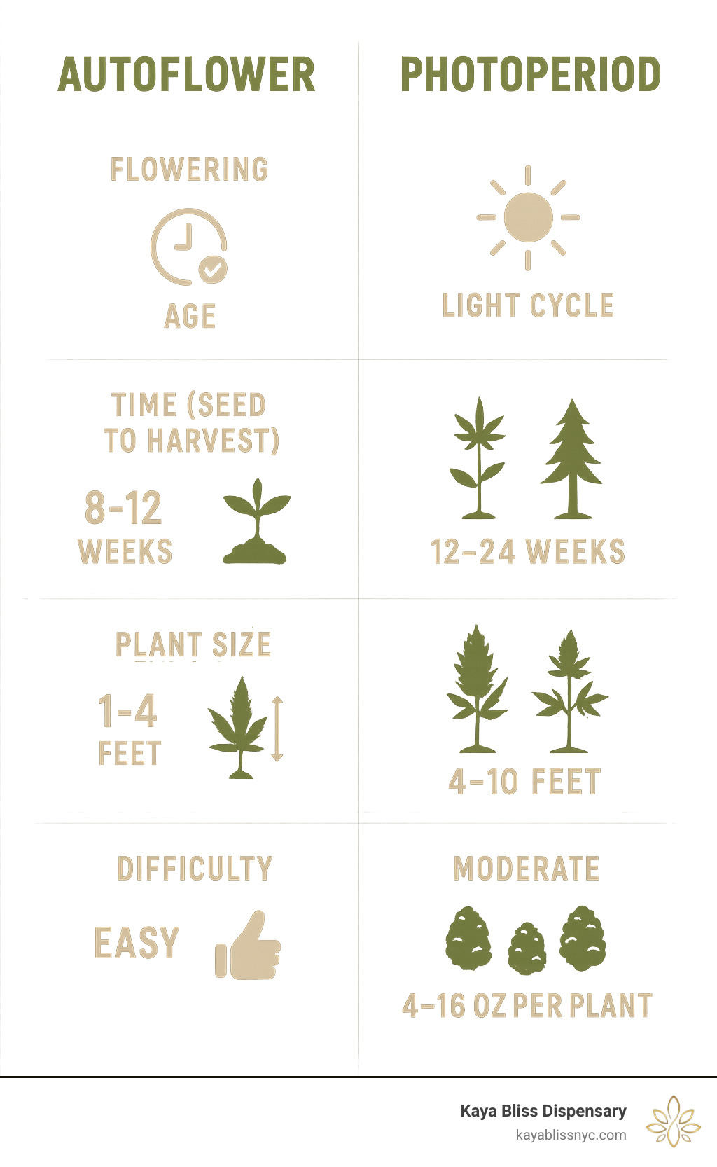 Comprehensive comparison chart showing autoflower vs photoperiod cannabis strains with key differences in flowering triggers, growth timeline from seed to harvest, plant size ranges, difficulty levels for beginners, and expected yield ranges - auto flower cannabis seed strains infographic 