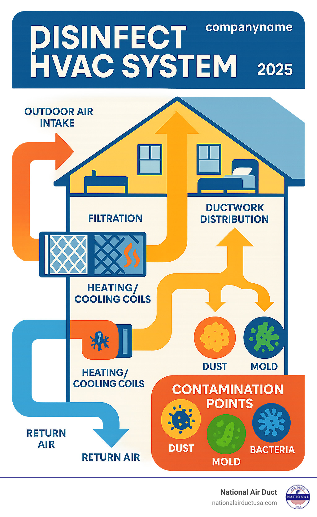 Detailed infographic showing the complete path of air circulation through a home's HVAC system, including outdoor air intake, filtration, heating/cooling coils, ductwork distribution to rooms, return air collection, and potential contamination points where dust, mold, and bacteria can accumulate - Disinfect HVAC system infographic 