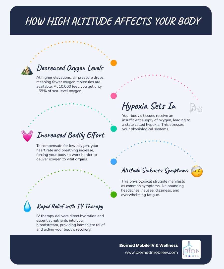 Detailed infographic showing how altitude affects the body: decreased oxygen levels at high elevation, physiological responses including increased heart rate and breathing, common symptoms like headache and nausea, and how IV therapy provides rapid relief through direct bloodstream delivery of fluids and nutrients - altitude sickness iv therapy infographic infographic-line-5-steps-blues-accent_colors