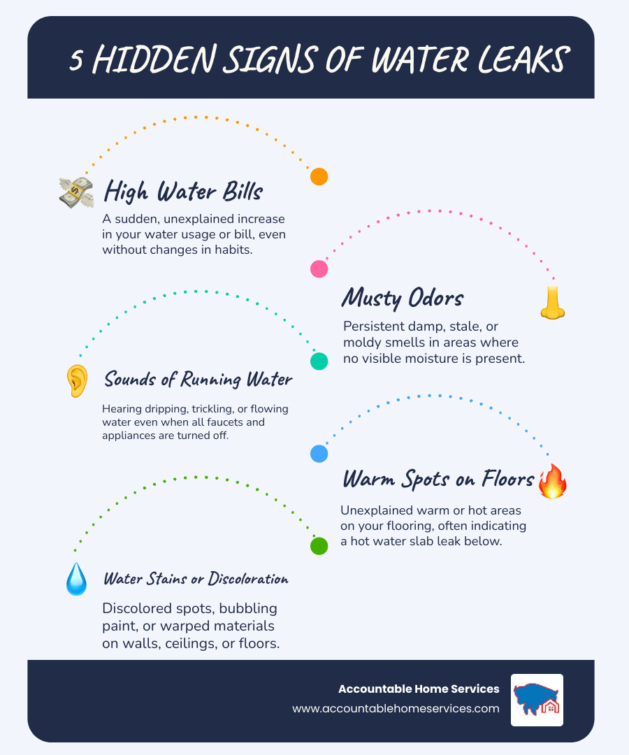Comprehensive infographic showing the 5 warning signs of hidden water leaks: unexplained high water bills, musty odors without visible sources, sounds of running water when fixtures are off, warm spots on floors from slab leaks, and water stains or discoloration on walls and ceilings - leak repair near me infographic infographic-line-5-steps-blues-accent_colors