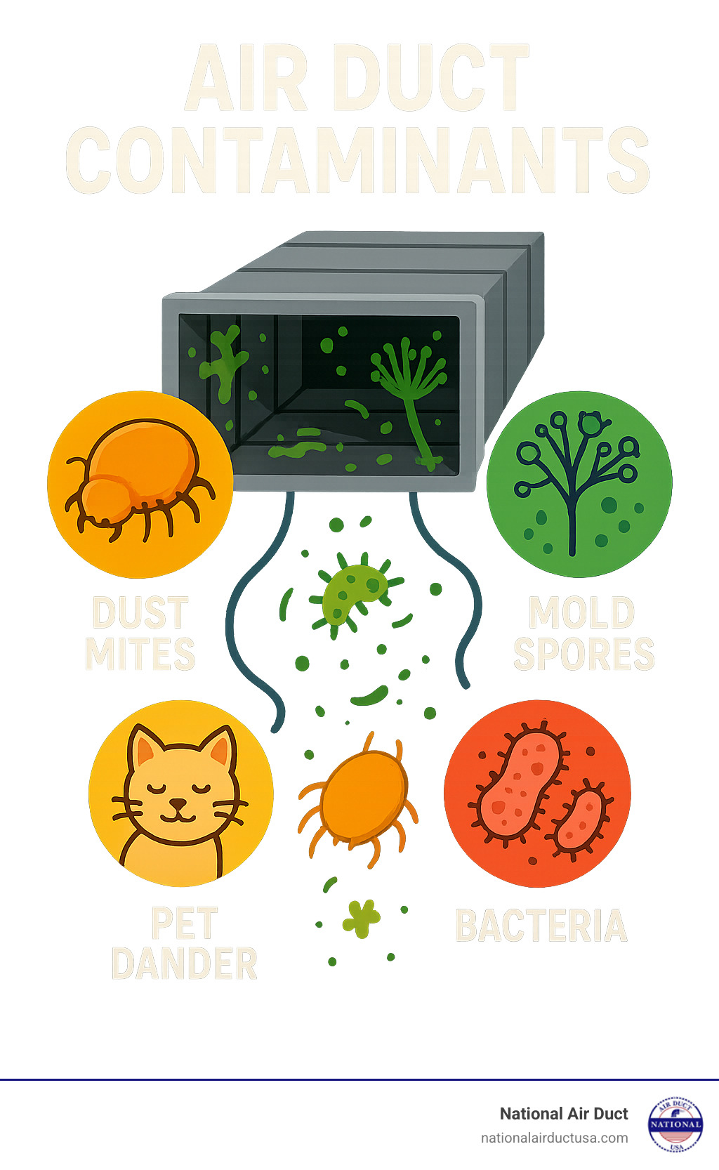 infographic explaining common residential air duct contaminants like dust mites, pet dander, mold spores, and bacteria - how to disinfect air ducts infographic 
