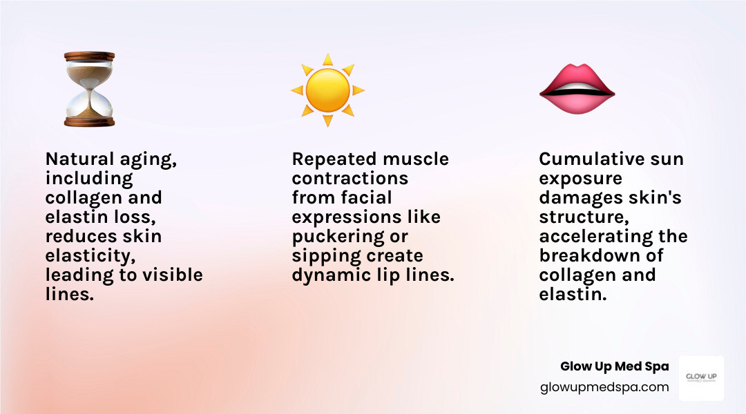 Infographic explaining the primary causes of lip lines such as aging, sun exposure, and muscle movement. - Botox for lip lines infographic 3_facts_emoji_light-gradient