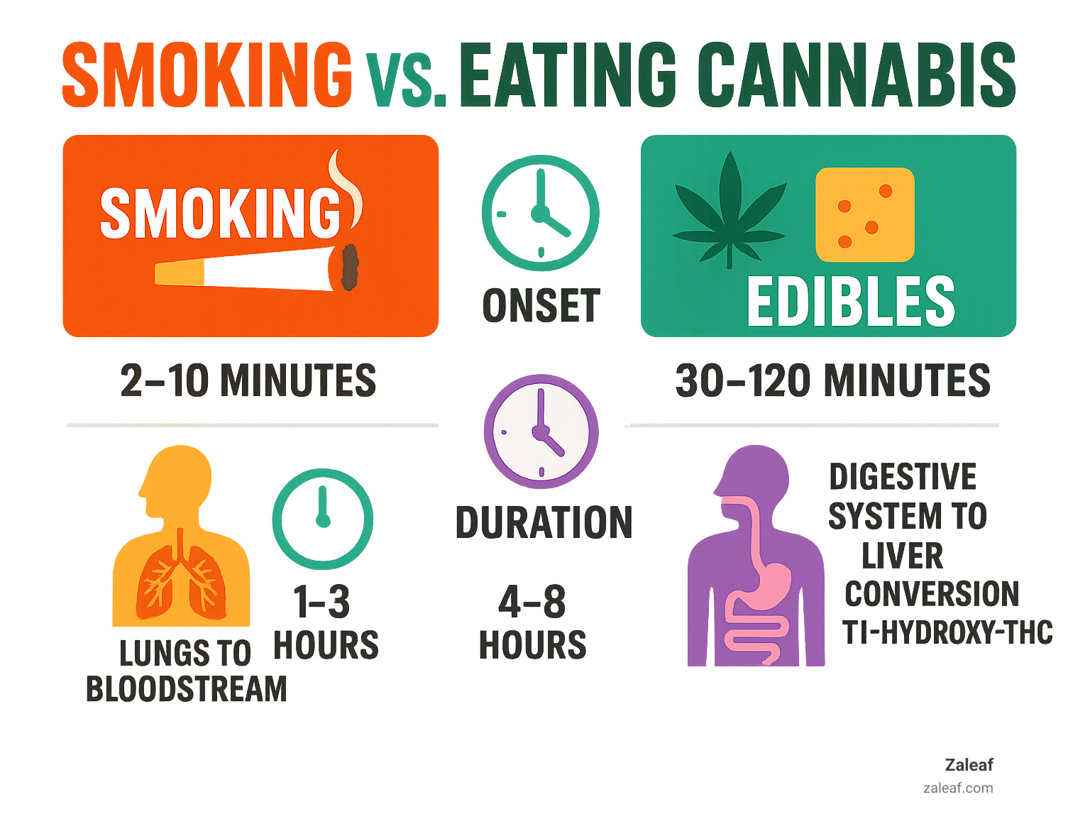 Comprehensive infographic showing the differences between smoking and eating cannabis, including onset times (smoking: 2-10 minutes vs edibles: 30-120 minutes), duration (smoking: 1-3 hours vs edibles: 4-8 hours), and metabolic pathways (lungs to bloodstream vs digestive system to liver conversion to 11-hydroxy-THC) - cannabis edible recipes infographic 