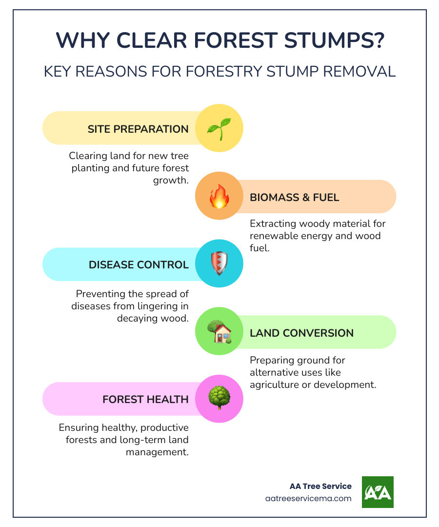 Infographic detailing the primary reasons for forestry stump removal, including replanting, biomass energy, disease prevention, and land conversion for agriculture or development - forestry stump removal infographic infographic-line-5-steps-colors Infographic detailing the primary reasons for forestry stump removal, including replanting, biomass energy, disease prevention, and land conversion for agriculture or development - forestry stump removal infographic infographic-line-5-steps-colors