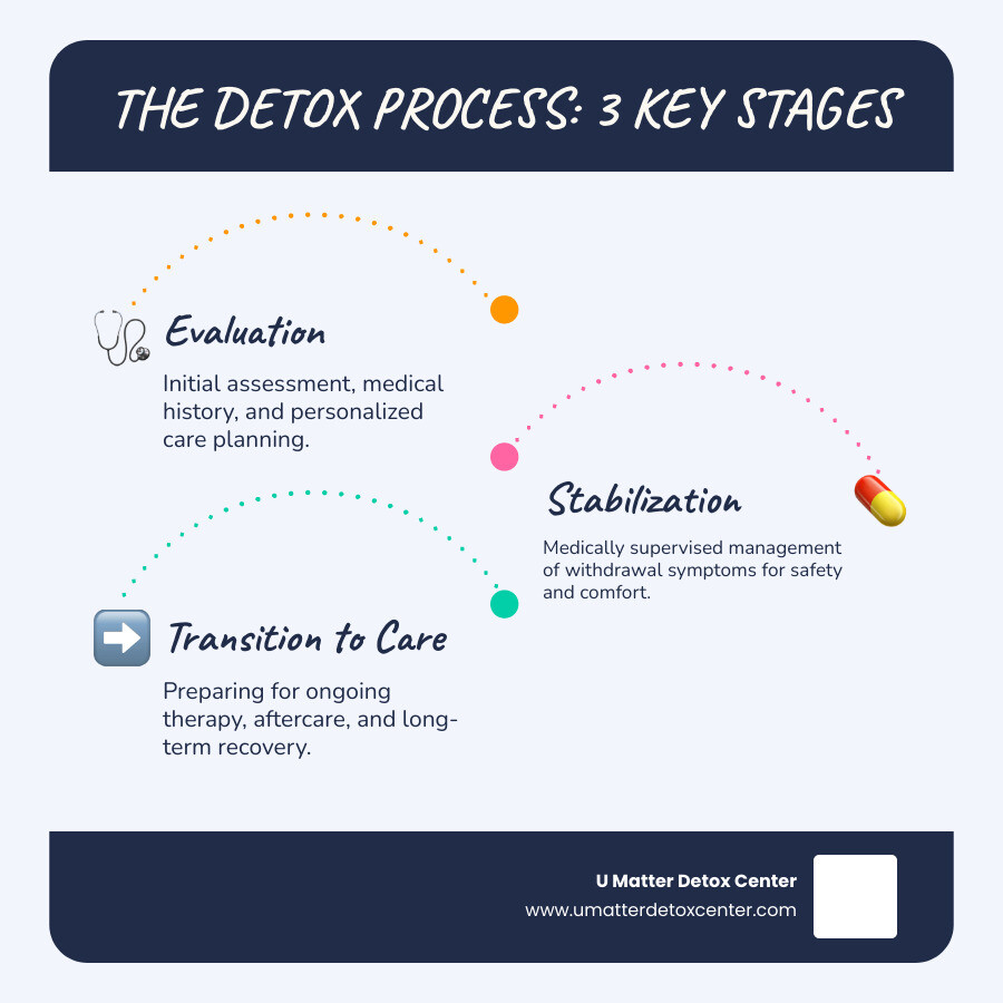 Infographic explaining the three stages of the detox process: Evaluation (initial assessment), Stabilization (managing withdrawal symptoms), and Transition to Care (preparing for ongoing treatment) - detox encino infographic infographic-line-3-steps-blues-accent_colors