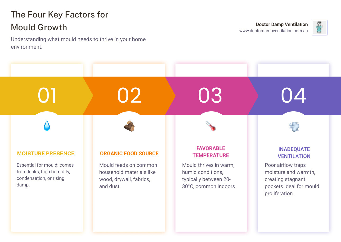 infographic explaining the three conditions for mould growth: moisture, food source, and temperature - mould removal strathfield infographic pillar-4-steps infographic explaining the three conditions for mould growth: moisture, food source, and temperature - mould removal strathfield infographic pillar-4-steps
