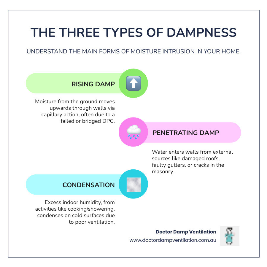 Infographic explaining the three main types of dampness in walls: rising damp, penetrating damp, and condensation, along with their primary causes. - dampness in wall infographic infographic-line-3-steps-colors