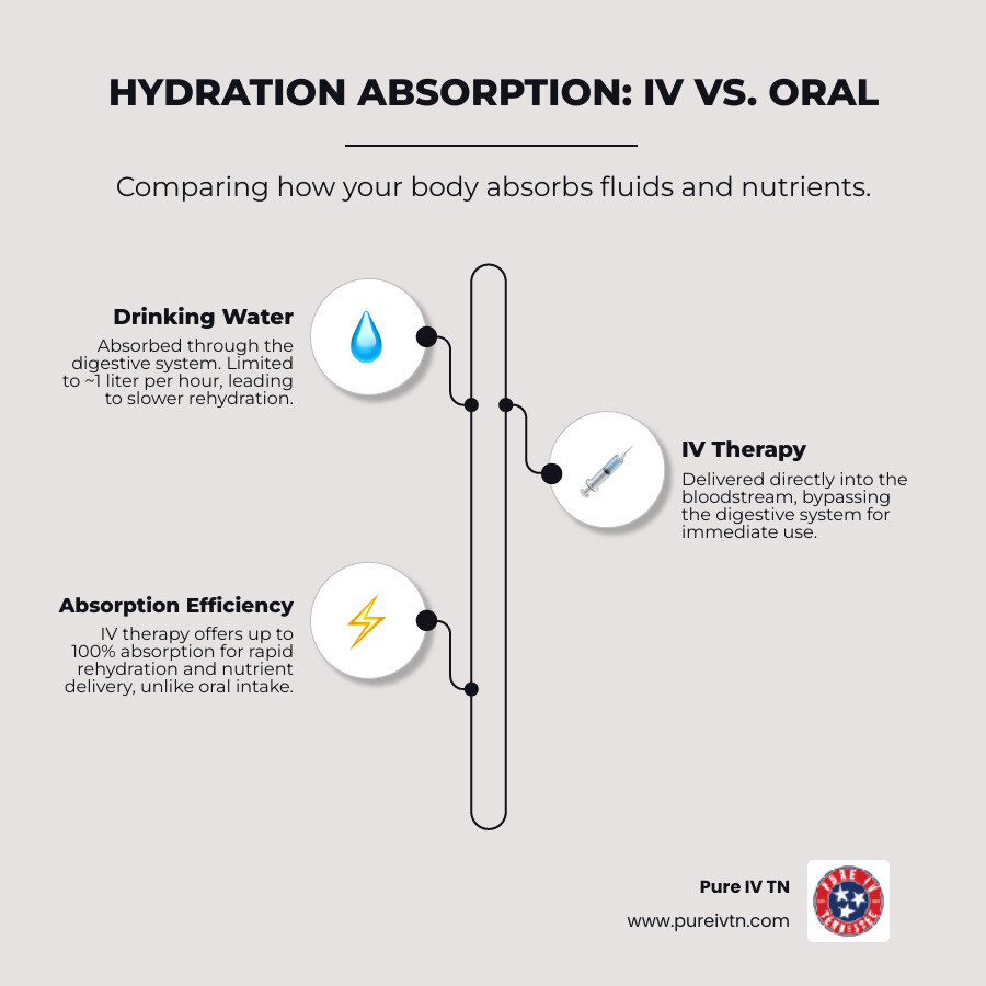 Infographic comparing absorption speed and efficiency of IV hydration versus drinking water, highlighting that IV delivers fluids and nutrients directly into the bloodstream for up to 100% absorption, bypassing the slower digestive process which absorbs only about 1 liter of water per hour. - iv therapy for hydration infographic infographic-line-3-steps-neat_beige