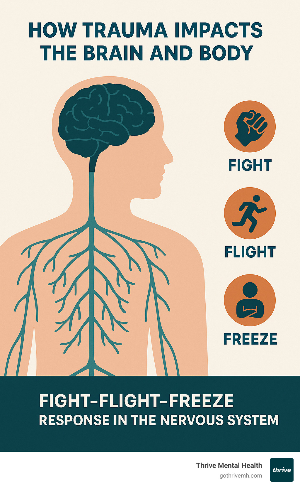explaining how trauma impacts the brain and body, showing the fight-flight-freeze response in the nervous system - Somatic Therapy vs. EMDR: Which is Right For You? infographic 
