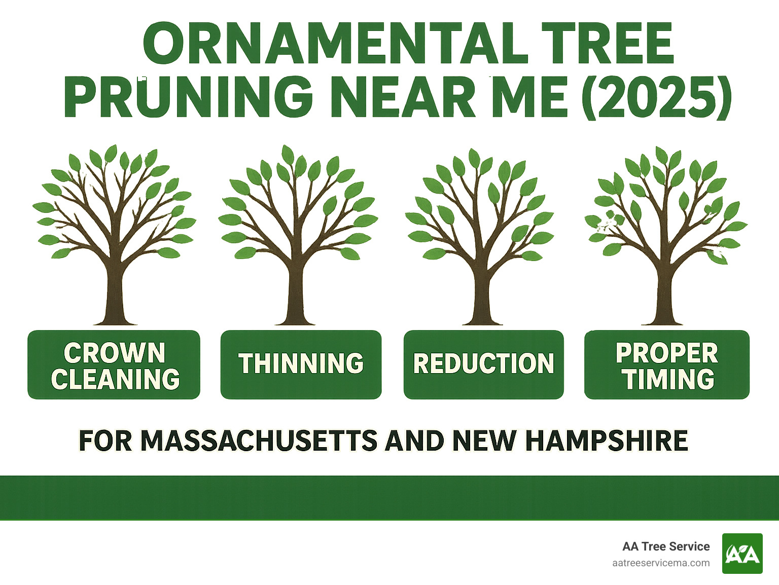 Comprehensive guide showing the differences between ornamental tree pruning techniques including crown cleaning, thinning, reduction, and proper timing for Massachusetts and New Hampshire trees - ornamental tree pruning near me infographic 