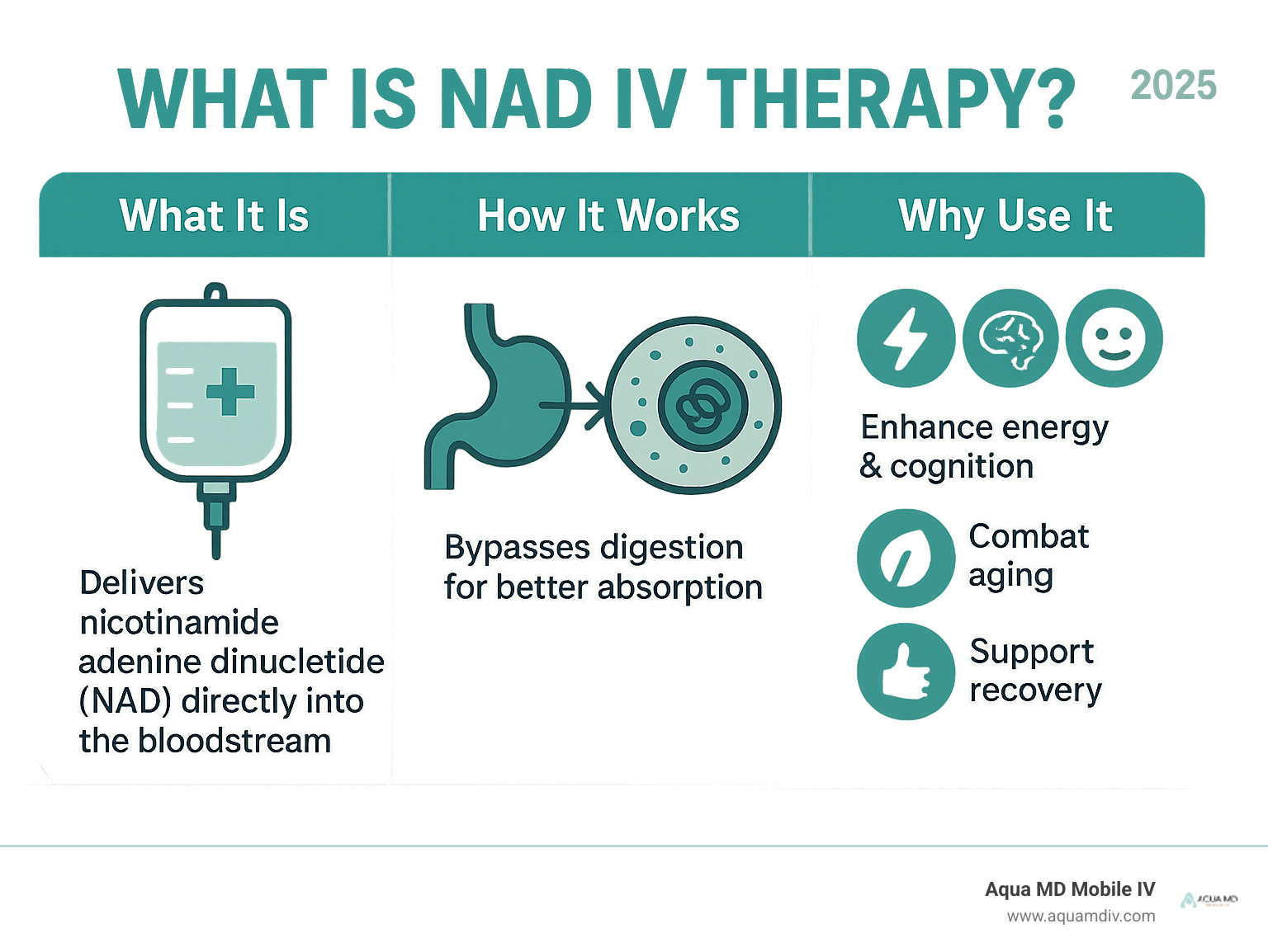 Infographic summarizing what NAD IV therapy is, how it works, and its main purposes - NAD IV therapy infographic 