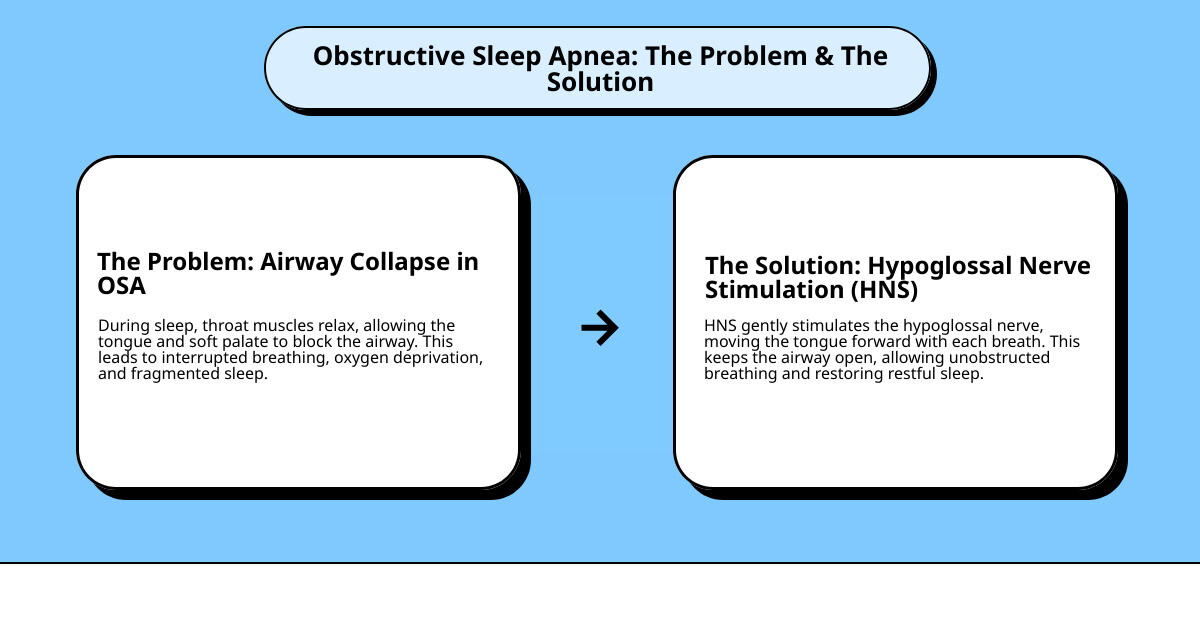 Detailed infographic showing the mechanism of obstructive sleep apnea with airway collapse during sleep, followed by the HNS solution demonstrating how electrical stimulation of the hypoglossal nerve causes tongue protrusion to maintain airway patency, including anatomical cross-sections and device component placement - what is hypoglossal nerve stimulation infographic cause_effect_text