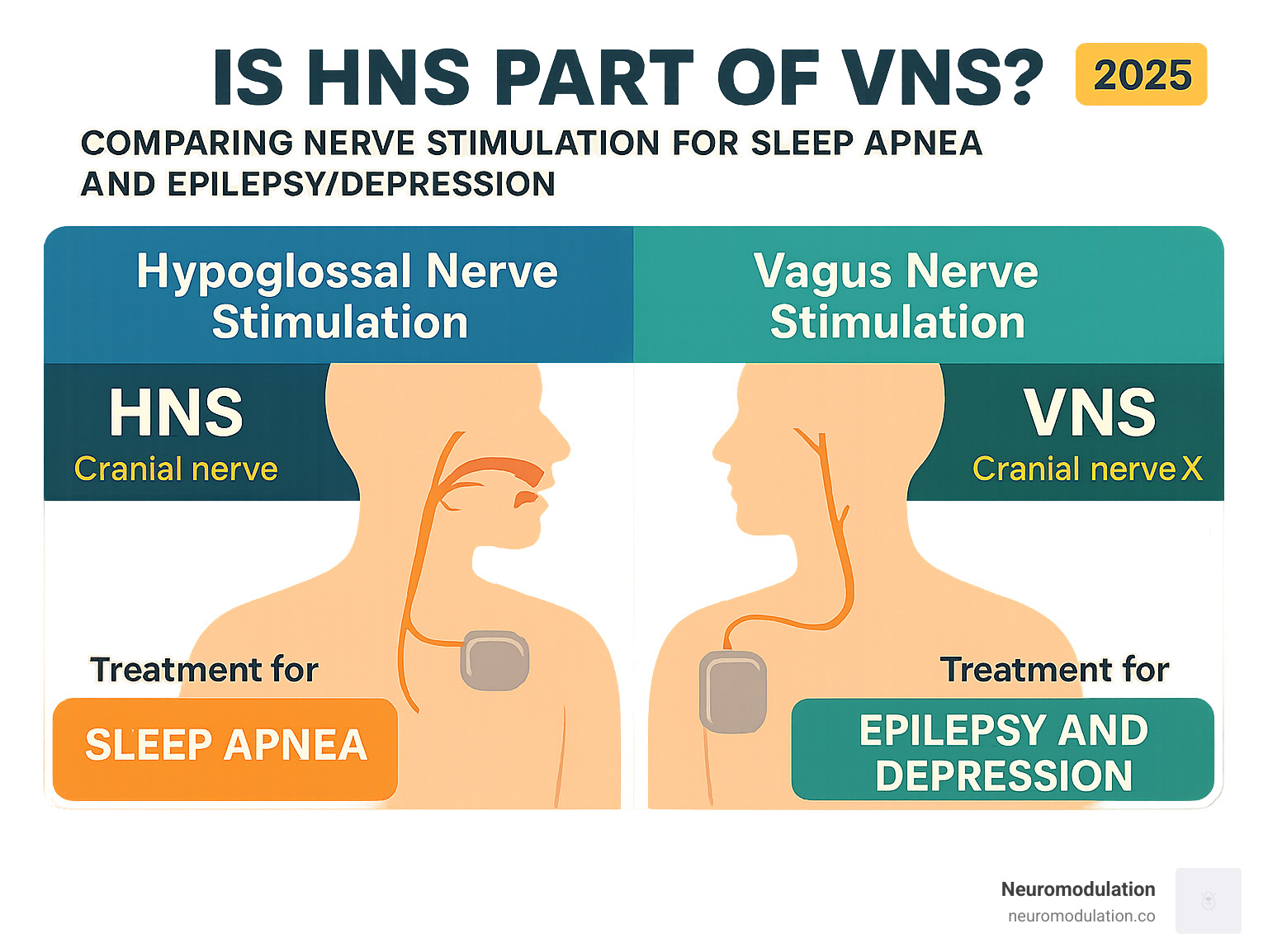 Infographic comparing HNS targeting cranial nerve XII for sleep apnea versus VNS targeting cranial nerve X for epilepsy and depression, showing the anatomical differences and distinct therapeutic applications of each neuromodulation approach - is hypoglossal nerve stimulation part of vagus nerve stimulation infographic 