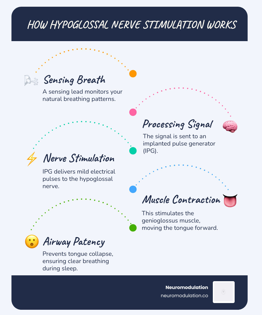 Detailed infographic showing hypoglossal nerve stimulation mechanism: respiratory sensing lead detects breathing, sends signal to implanted pulse generator, which delivers electrical impulses to hypoglossal nerve stimulation lead, causing tongue muscle contraction and airway opening during sleep - hypoglossal nerve stimulation reviews infographic infographic-line-5-steps-blues-accent_colors Detailed infographic showing hypoglossal nerve stimulation mechanism: respiratory sensing lead detects breathing, sends signal to implanted pulse generator, which delivers electrical impulses to hypoglossal nerve stimulation lead, causing tongue muscle contraction and airway opening during sleep - hypoglossal nerve stimulation reviews infographic infographic-line-5-steps-blues-accent_colors
