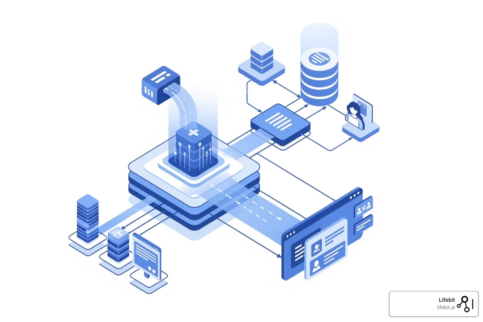 Conceptual image showing the technical architecture of a computerized disease registry, including data input sources (e.g., EMRs, labs), a central database, application software for data management and analysis, and reporting tools for users - disease registers