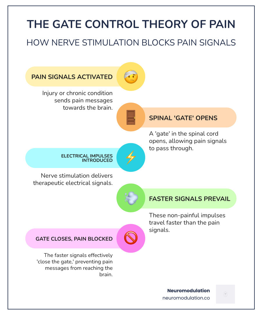 Comprehensive overview of nerve stimulation therapy types, mechanisms of action including Gate Control Theory, common conditions treated, and effectiveness statistics showing pain reduction and medication decrease across different patient populations - nerve stimulation therapy infographic infographic-line-5-steps-colors Comprehensive overview of nerve stimulation therapy types, mechanisms of action including Gate Control Theory, common conditions treated, and effectiveness statistics showing pain reduction and medication decrease across different patient populations - nerve stimulation therapy infographic infographic-line-5-steps-colors