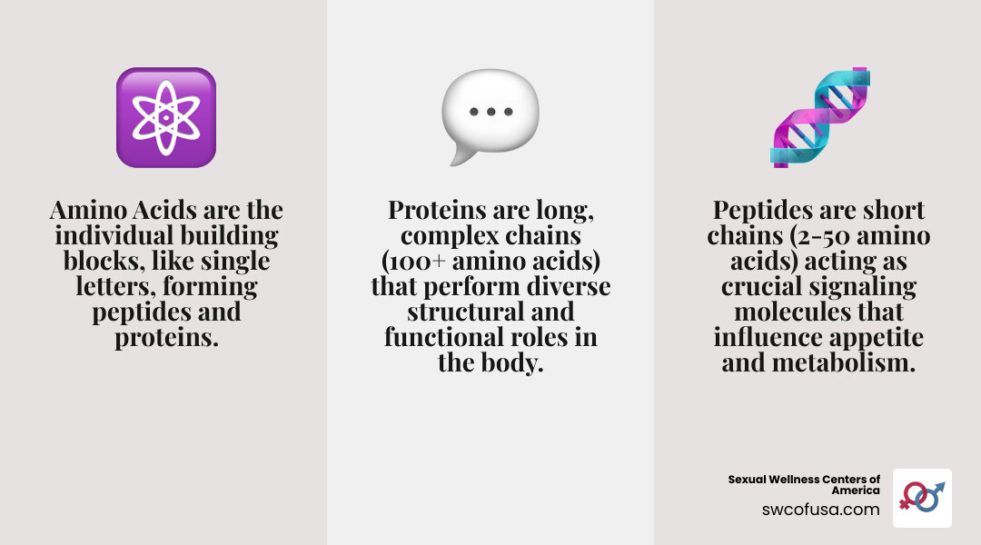 Detailed infographic showing the molecular structure differences between amino acids (single building blocks), peptides (short chains of 2-50 amino acids), and proteins (long chains of 100+ amino acids), with arrows indicating their roles in weight management including appetite control, metabolism, and hormone signaling - peptide supplements for weight loss infographic 3_facts_emoji_grey Detailed infographic showing the molecular structure differences between amino acids (single building blocks), peptides (short chains of 2-50 amino acids), and proteins (long chains of 100+ amino acids), with arrows indicating their roles in weight management including appetite control, metabolism, and hormone signaling - peptide supplements for weight loss infographic 3_facts_emoji_grey