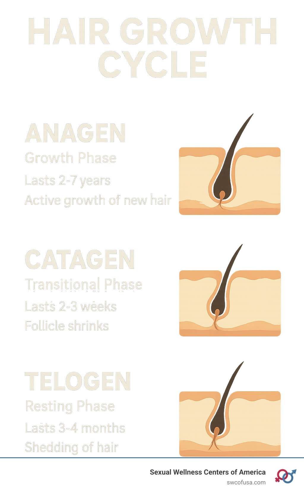 ghk-cu copper peptide hair growth mechanism of action Figure 3 from GHK – Copper Peptide in Skin Remodeling and Anti-Aging ! GHK- Cu in Skin Remodeling