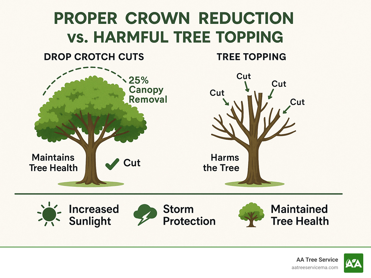Infographic showing proper crown reduction technique with drop crotch cuts compared to harmful tree topping cuts, including the 25% canopy removal rule and benefits like increased sunlight, storm protection, and maintained tree health - tree crown reduction cost infographic Infographic showing proper crown reduction technique with drop crotch cuts compared to harmful tree topping cuts, including the 25% canopy removal rule and benefits like increased sunlight, storm protection, and maintained tree health - tree crown reduction cost infographic