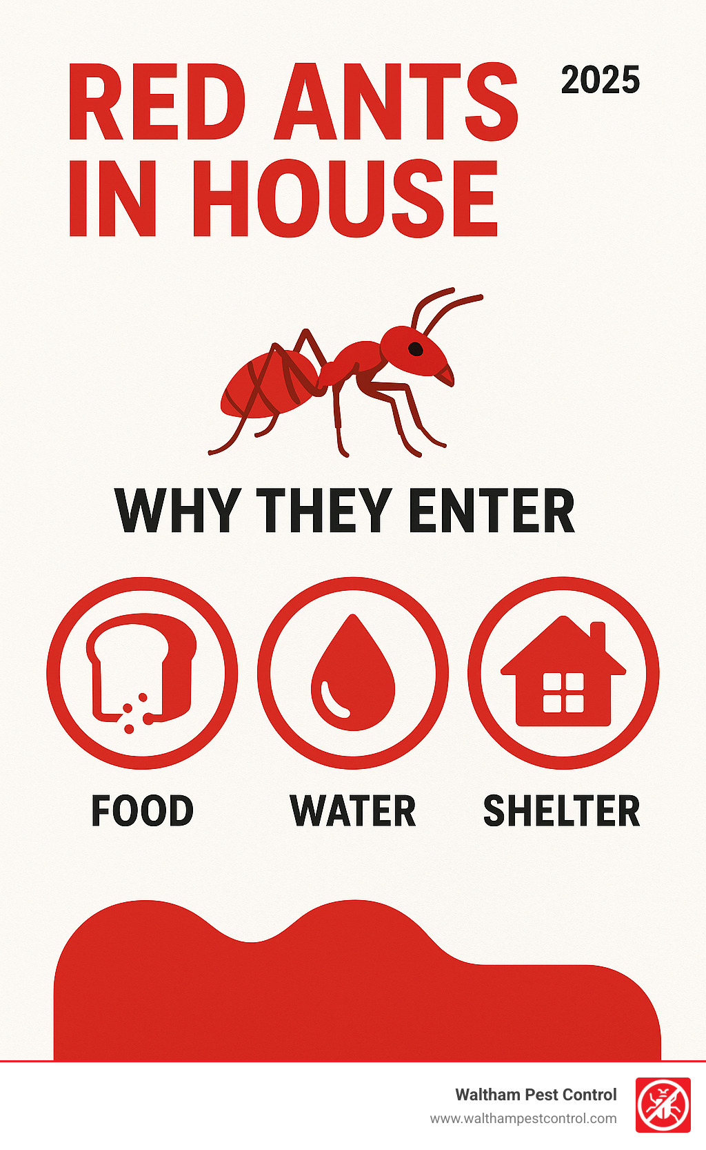 Infographic showing the three main reasons red ants enter homes: food, water, and shelter - red ants in house infographic 