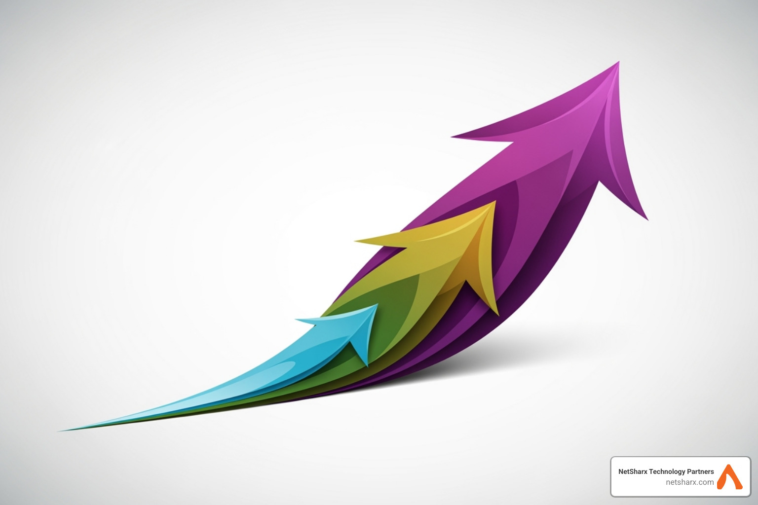 career path diagram from Analyst to Manager to Director - it risk consultant