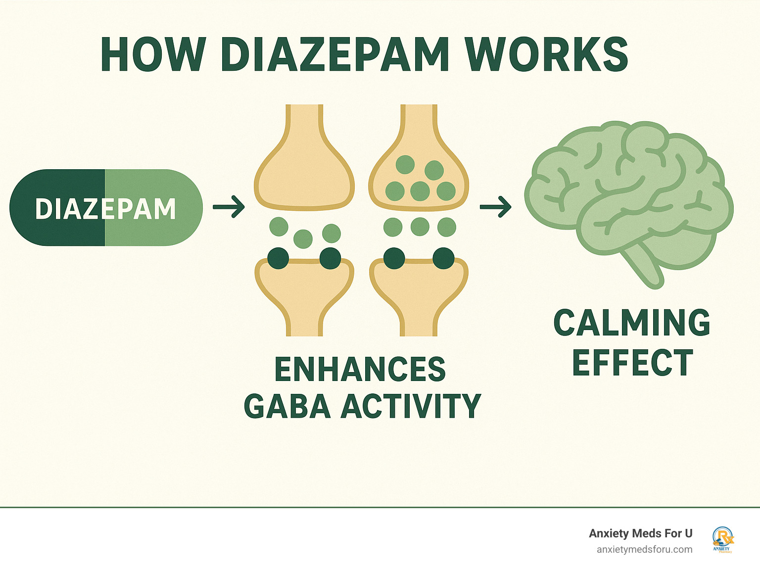 infographic explaining how Diazepam works on GABA neurotransmitters in the brain to create a calming effect - Buy diazepam online infographic 
