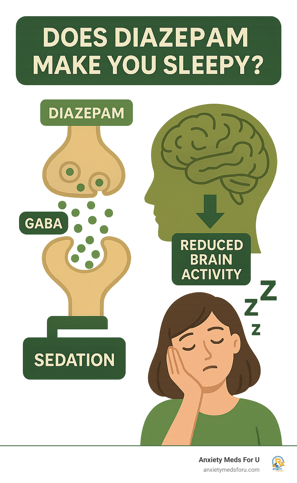 Infographic showing how diazepam works on GABA receptors in the brain to produce sedation, including visual representation of neurotransmitters, brain activity reduction, and resulting drowsiness effects - does diazepam make you sleepy infographic 
