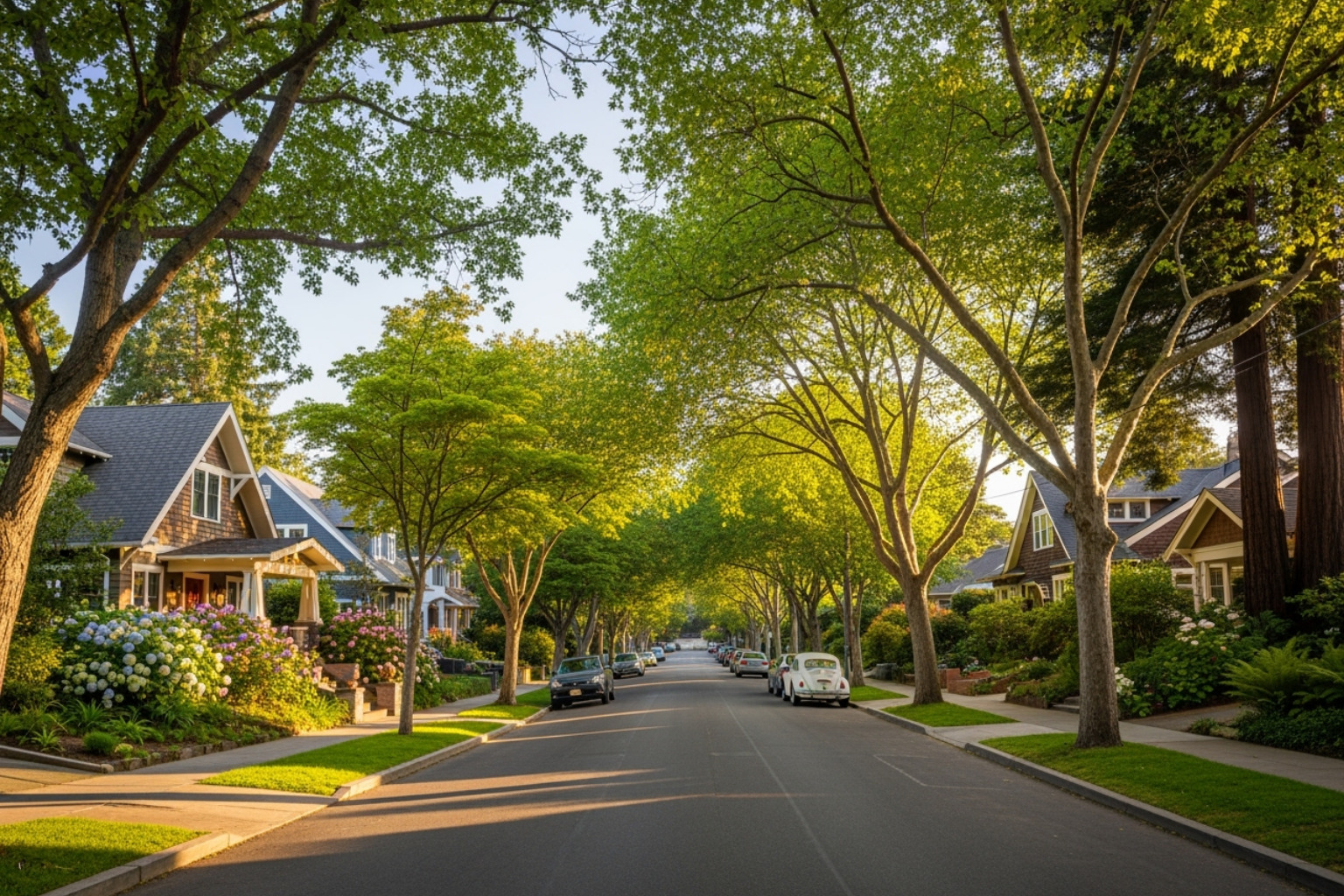 A quiet, leafy street in North Berkeley - sublets in berkeley