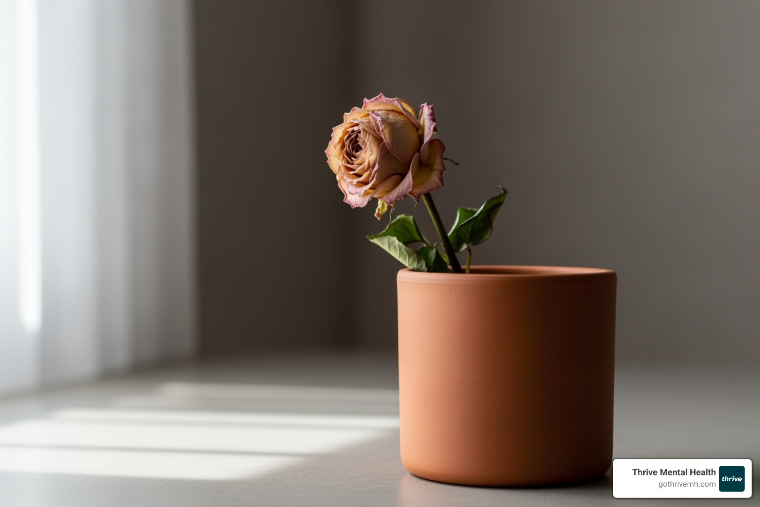 A single, wilting flower in a pot - betrayal trauma