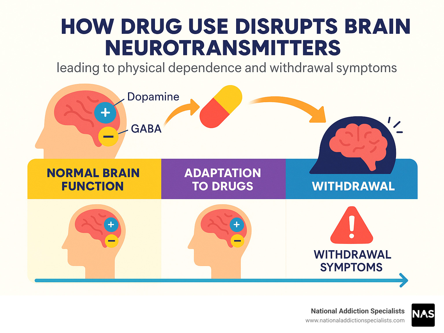 Infographic showing how drug use disrupts brain neurotransmitters like dopamine and GABA, leading to physical dependence and withdrawal symptoms when the substance is removed, with timeline showing normal brain function, adaptation to drugs, and withdrawal phase - drug withdrawal symptoms infographic 