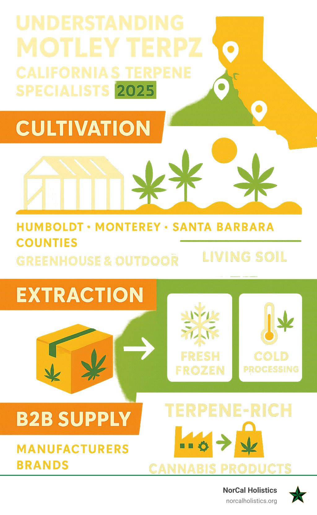 Comprehensive breakdown of Motley Terpz operations showing their cultivation methods across three California counties, extraction techniques including fresh frozen and cold processing, and their B2B supply chain serving manufacturers and brands with terpene-rich cannabis products - motley terps infographic 