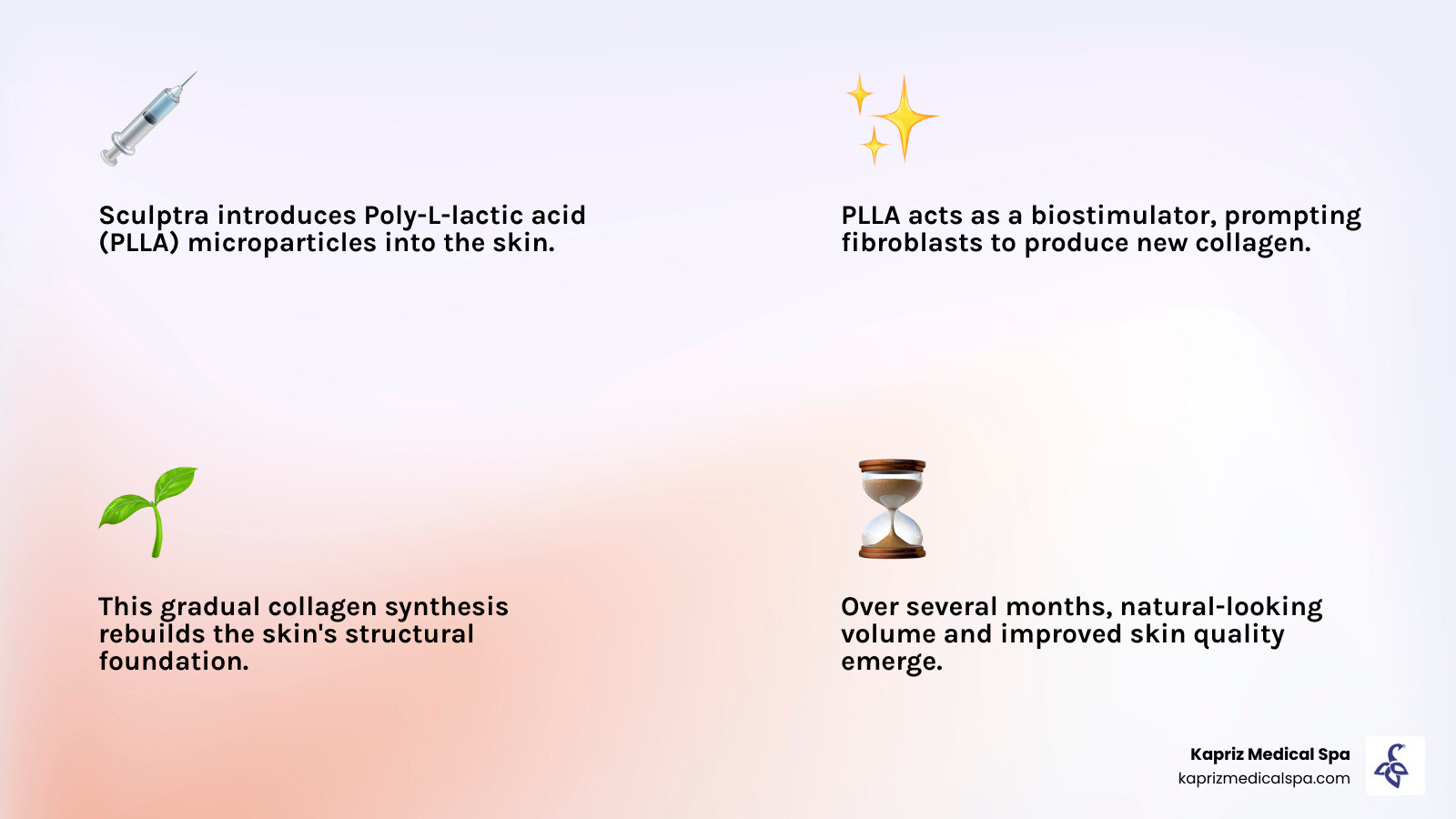 Infographic explaining how Sculptra's poly-L-lactic acid (PLLA) microparticles stimulate fibroblasts to produce new collagen over several months, leading to gradual skin thickening and volume restoration. - sculptra injections infographic 4_facts_emoji_light-gradient