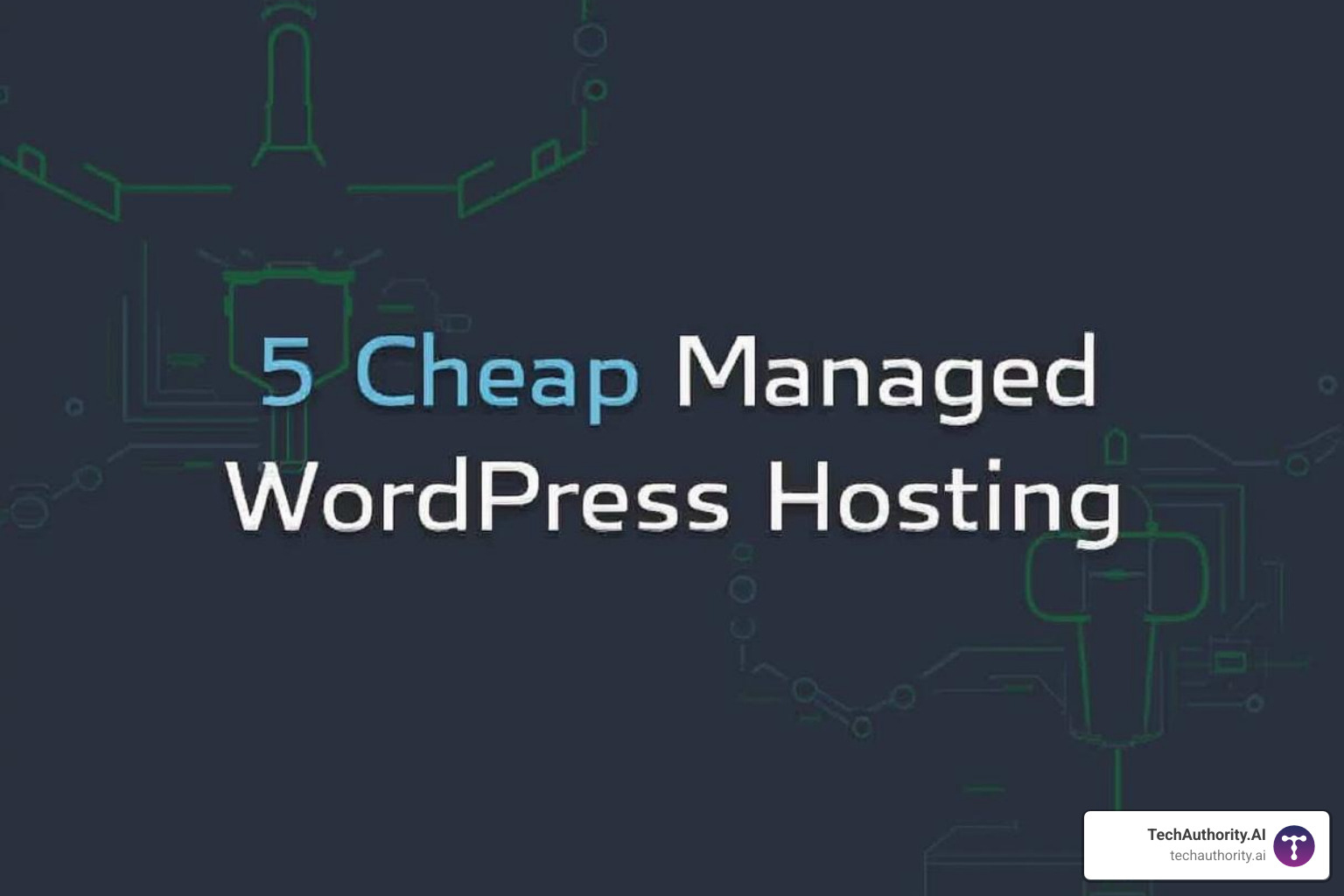 The TechAuthority.AI custom control panel - cheap managed WordPress hosting