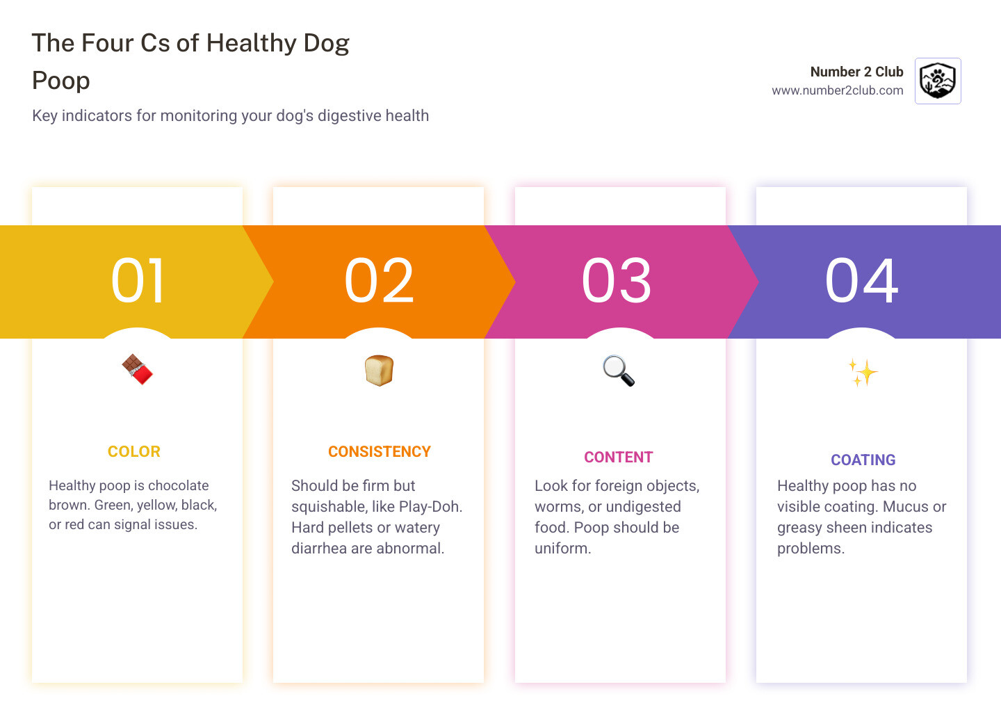 Infographic explaining the 