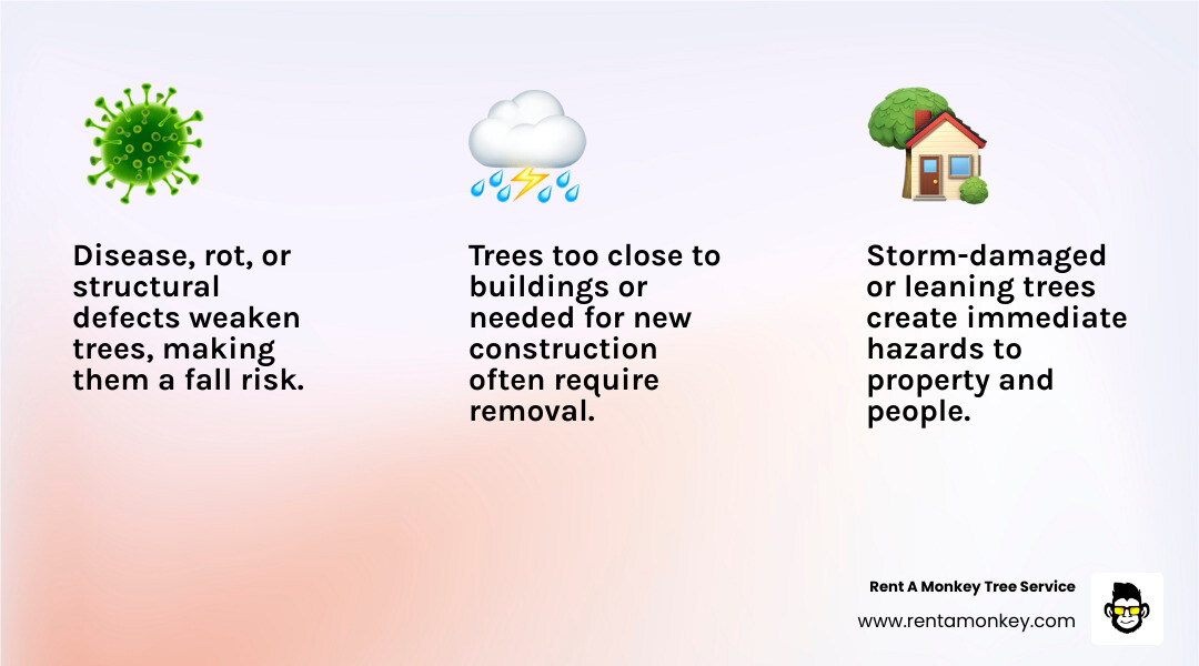 Infographic detailing top reasons for tree removal: disease, storm damage, structural issues, proximity to structures, and land clearing for construction - tree removal Park City UT infographic 3_facts_emoji_light-gradient