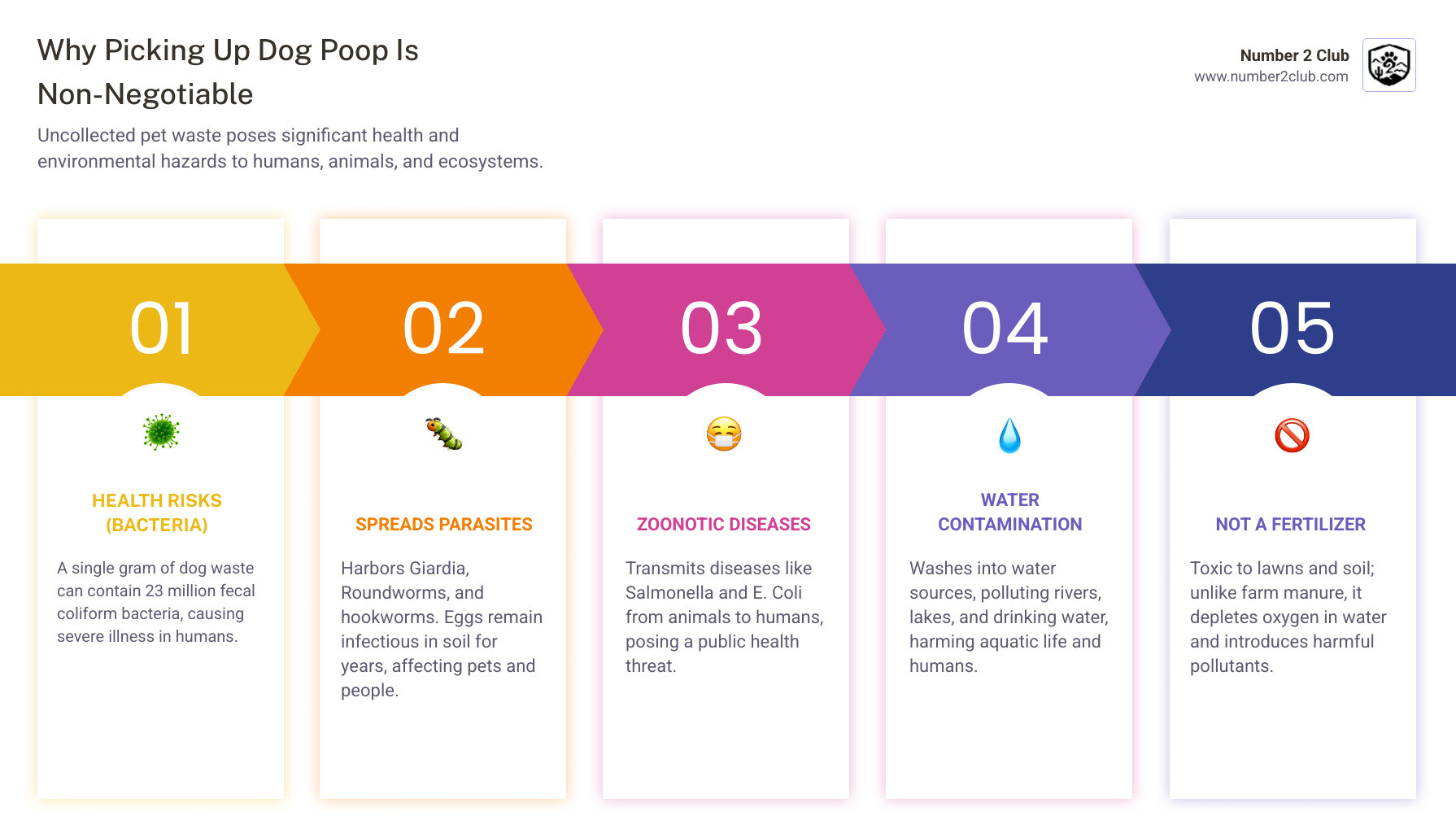 Infographic explaining why dog waste is an environmental pollutant, highlighting bacteria, parasites, and water contamination, with statistics on waste volume and health risks - dog poop picker upper infographic pillar-5-steps